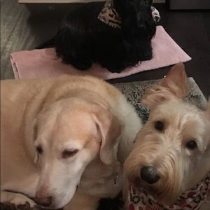 Meet your Posher, Mary jane